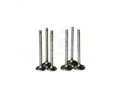 6D31 Engine Valve Seat Intake & Exhaust Valve Mitsubishi Diesel Engine Parts