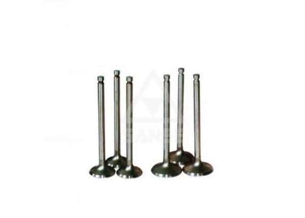 Mitsubishi Replacement Parts , 6D22 Intake And Exhaust Valves
