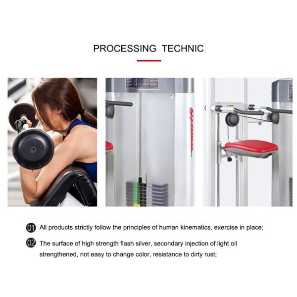Sport Life Fitness Strength Gym Equipments Assist Dip Chin Exercise Machine