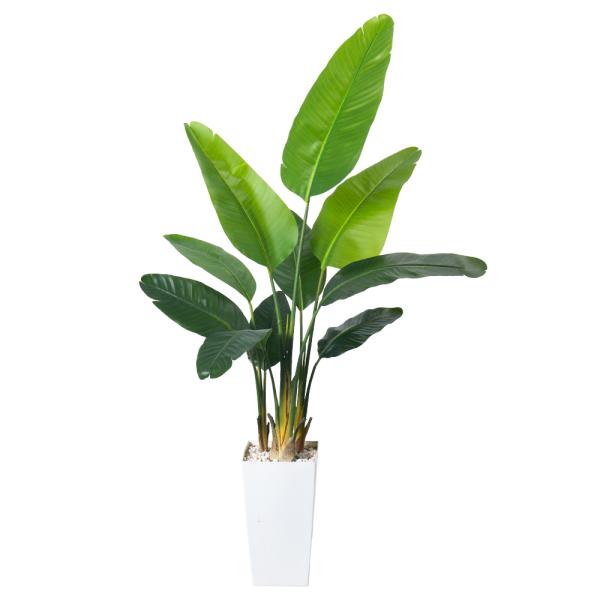 Artificial Bird of Paradise Plant 6.8FT - Luxury Faux Palm Tree in White Planter for Indoor Office Decor