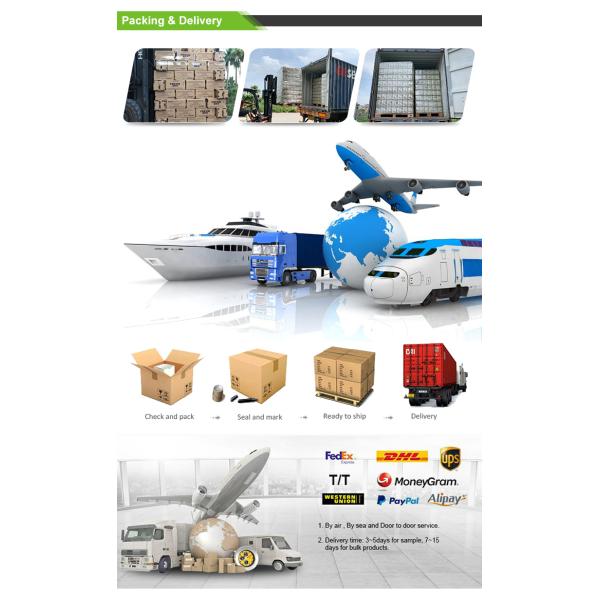 Lime Crispy Mints OEM Flavor Healthy Vitamin Sugar Free Mint Candy Manufacturer