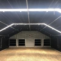 Fungo Tropical Erva Medicinal Cultivo apagão privação de luz Estufas automáticas