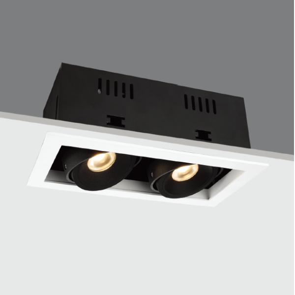 Energy Saving Light 20w double heads CITIZEN COB Recessed LED Down 1400lm Square Box LED Spot Ceiling Lamp