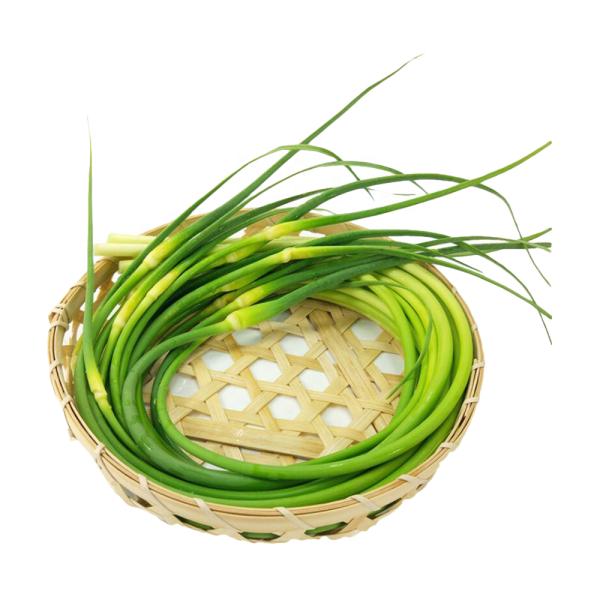 Fresh Garlic Shoot in new crop Chinese Garlic Stem Sprout
