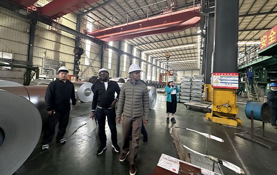 Shandong Dingcheng Liye Materials Co., Ltd