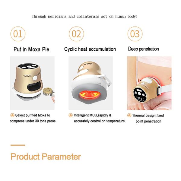 Smart Smokeless Moxa Instrument 50/60 Hz Absorb In Chinese Traditional Medicine