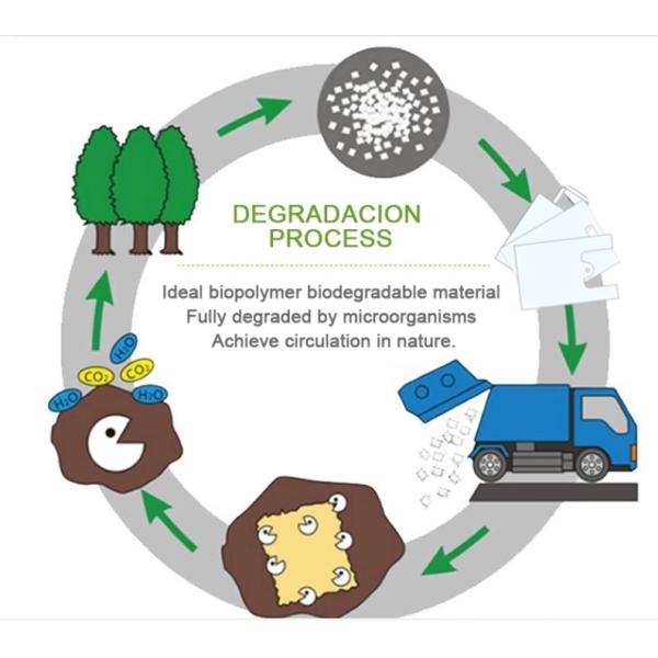 LDPE OPP прокатал полиэтиленовые пакеты сигары с отверстием руки