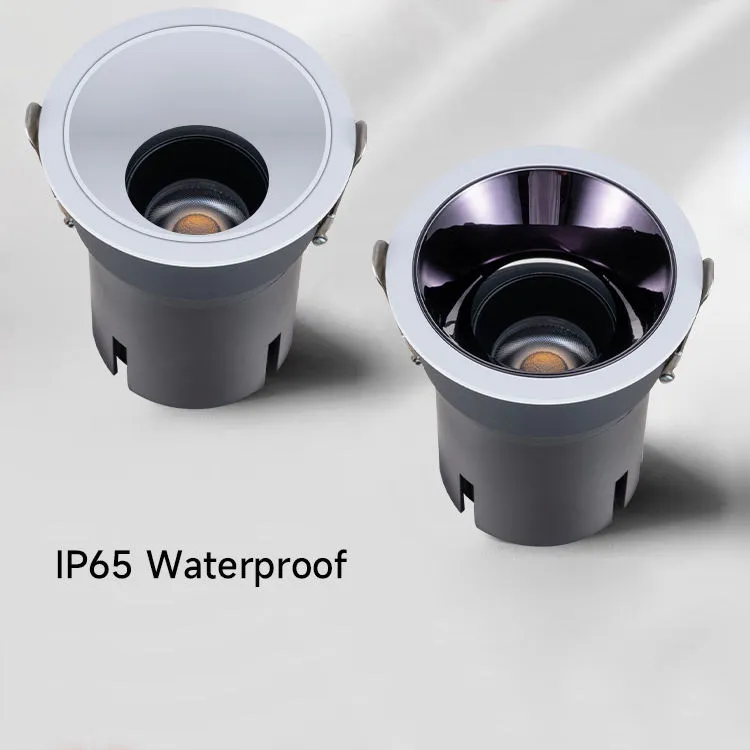 IP65 0-10V 2700K-6000K Tunable Triac Dali-2/Dali Dt6 Dt8 Waterproof LED Down Light for Bathroom