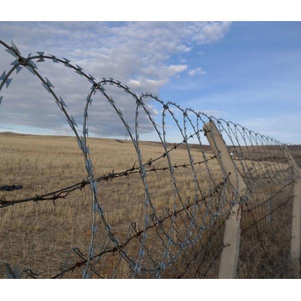 Горяче погруженный охранный забор колючая проволока бритва бритва оцинкованная бритва ржавчина прочная проволока