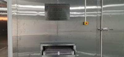Odm espiral ultra baixo do marisco do congelador 500KG/H 750KG/H da correia de IQF