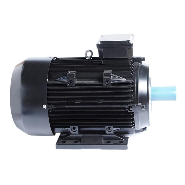 3 Phase Induction Motor Insulation Class F 2KG for Popular Washing Machine Water Pump
