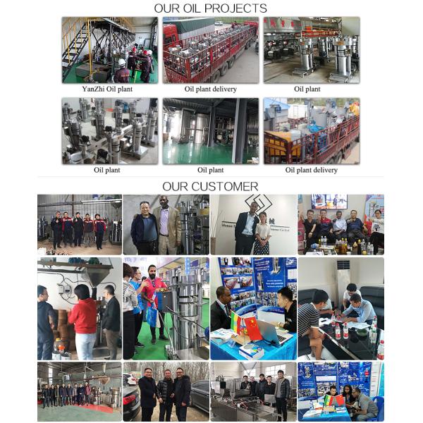 Пресса прочной машины прессы масла сезама экстрактора гидравлического масла холодная/горячая