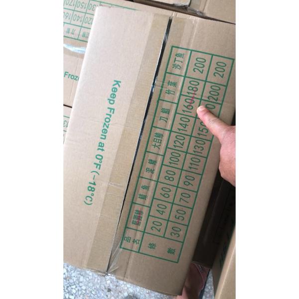 Свежая здоровая лошадь IQF - скумбрия 160 - замороженная удя приманка 180pcs/ctn