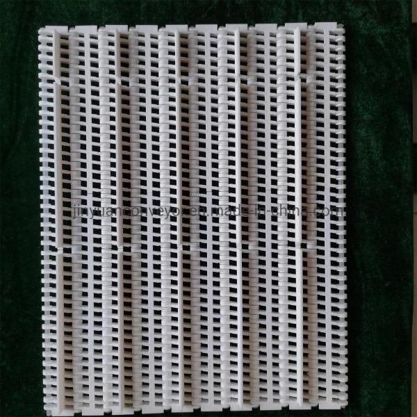                  Plastic Conveyor Belts with 27.2mm Pitch for Cartons Processing Industry             