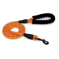 5FT ont tressé la laisse en nylon de chien le chien fort que mou mène 48 brins