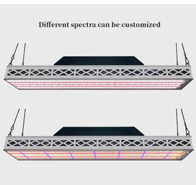 640W Top LED Grow Lights Full Spectrum Plant Growth Lamp For Greenhouse Seedling Flowering