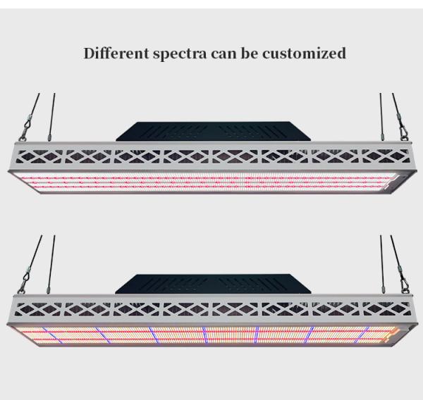 640W Top LED Grow Lights Full Spectrum Plant Growth Lamp For Greenhouse Seedling Flowering