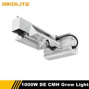 РАВЕНСТВО воздуха 1000W плюс полный светильник спектра CMH для парника