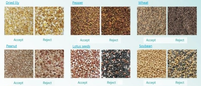 2023 Новый дизайн CCD Nuts Color Sorter Машина для разделения цвета грецкого ореха кешью кокосового ореха