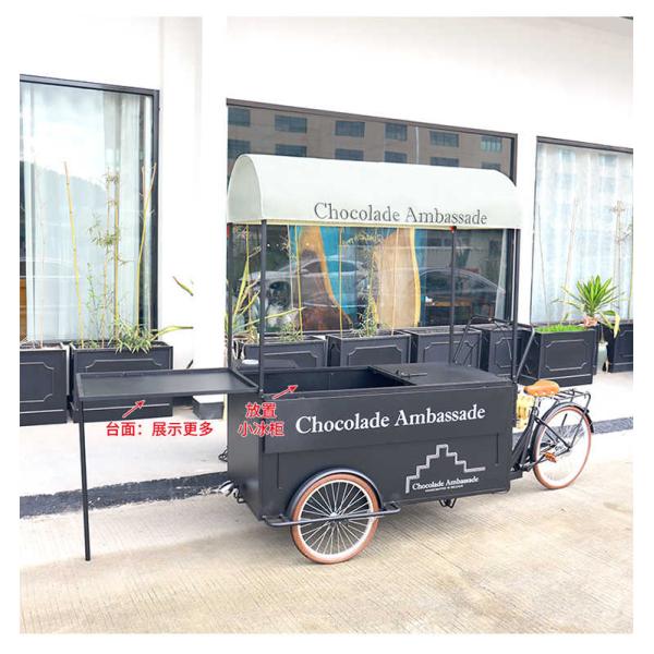 Street Food Delivery Bike with Display Freezer and Customized Snack Truck