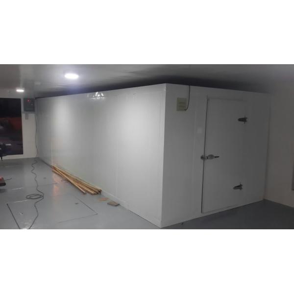 Paseo en puerta de la cámara del almacenamiento de los pescados del desplazamiento frío o de oscilación garantía de 1 año