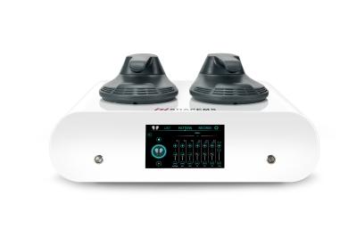 Butt Arm Muscle Sculpting Machine 2 Handles Tesla Ems RF For Tightening Skin Weight Loss
