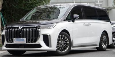 Porta personalizada privada 7seats MPV da versão 5 do baixo-carbono do sonhador 2022 de VOYAH