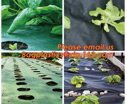 100% new LDPE green house plastic clear covering film,anti drip tomato Hydroponics agricultural plastic film