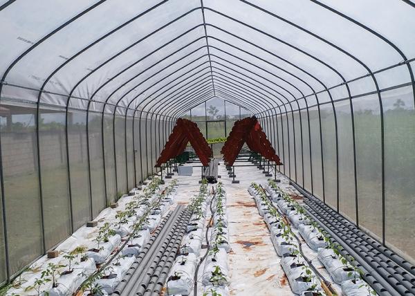 Small Galvanized Greenhouse with Reinforced Plastic Film for All-Season Growing