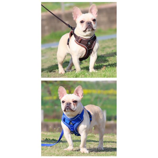 Dog Harness Vest Breathable Mesh Reflective Sport Comfortable Outdoor Activities