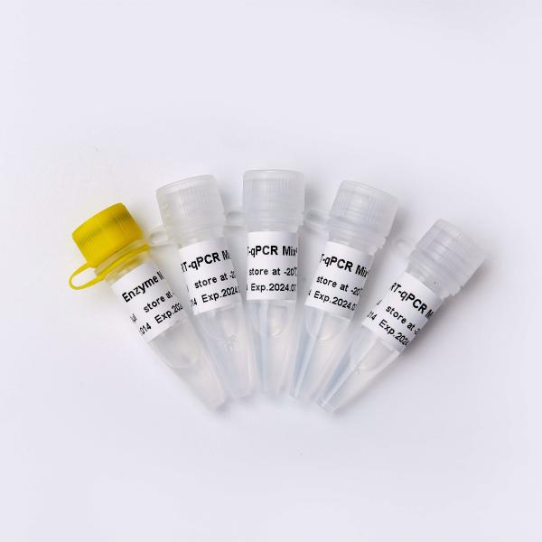 GDSBio One Step RT QPCR Master Mix V5009 V5010