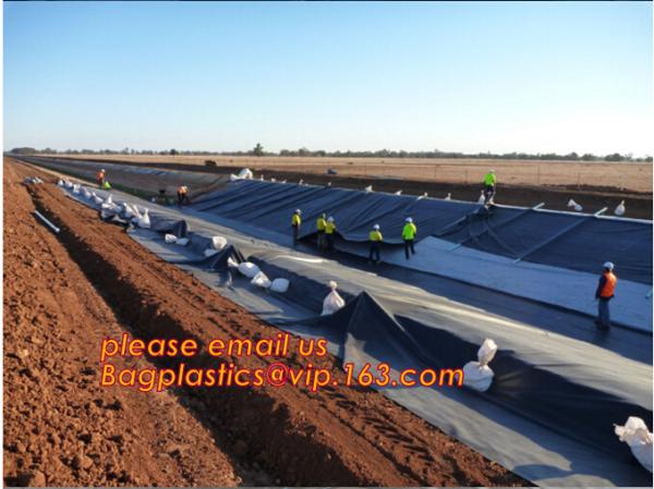 Construction Builder Film, Waterproof Dampproof, PONDS LINER, Geomembrane, Geotextile, Protective Cover