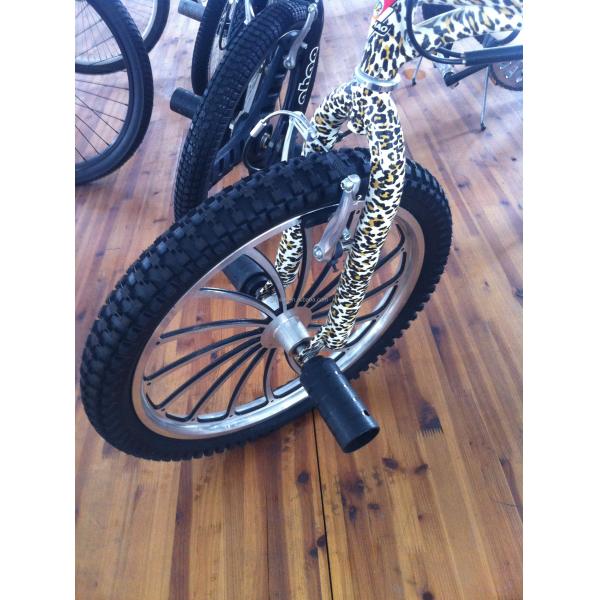 12KG Magwheel Plastic Teny Whole Custom Freestyle BMX Bike with Steel Frame