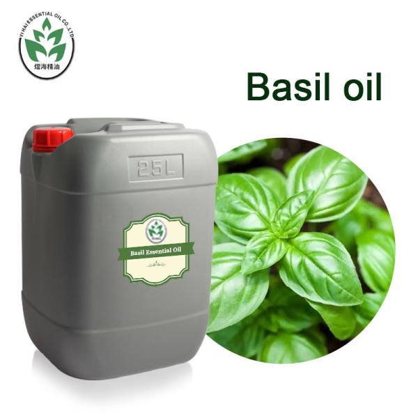 OEM Anti Inflammation CAS 8015-73-4 Holy Basil Essential Natural
