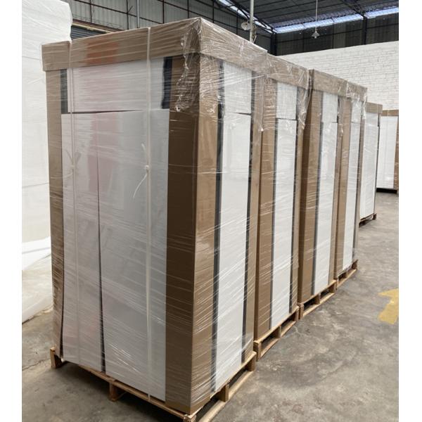 Commercial outdoor bagged ice storage freezer, fan cooling ice cube freezer CE