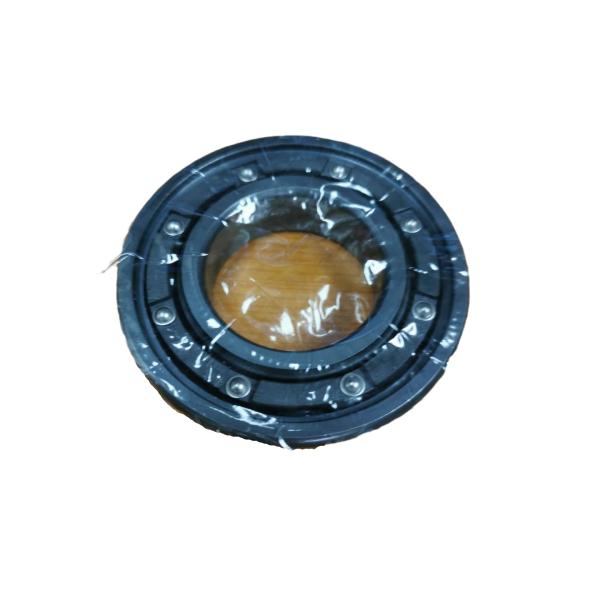 S6205 S6208 LNG Cryopump Angular Contact Roller Bearing