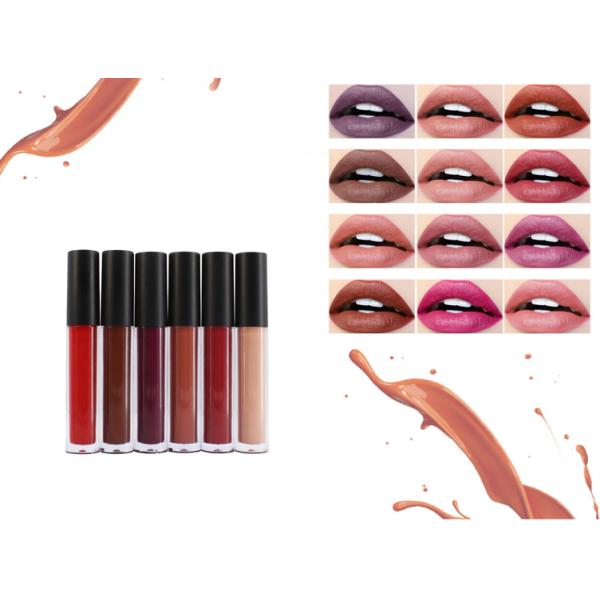 Губная помада метки частного назначения штейновая жидкостная делает вашим собственным логотипом водоустойчивое продолжительное