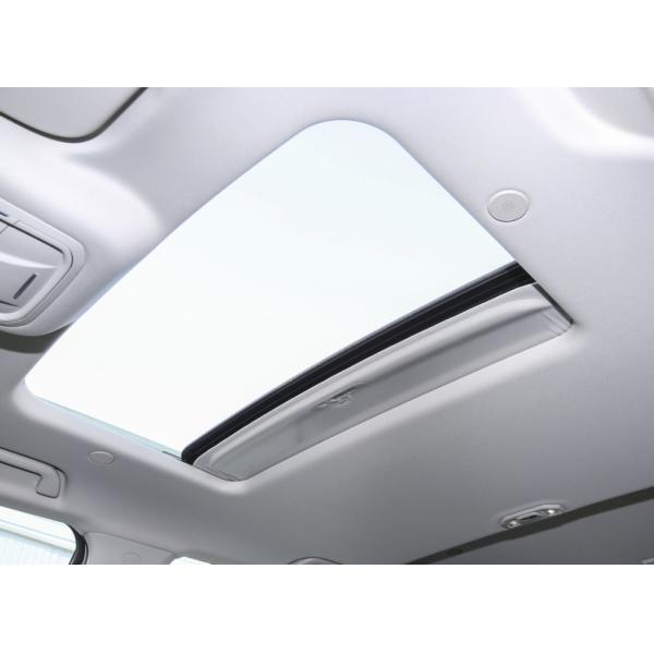 2023 Tank300 2.0T City Model Must Version Compact SUV 5