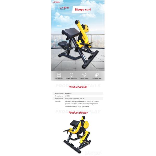 300kg Biceps Curl Hammer Strength Exercise Machine