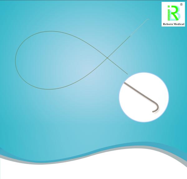 Nephrolithotomy Percutaneous PCNLのDilatorはステンレス鋼のGuidewireを置いた