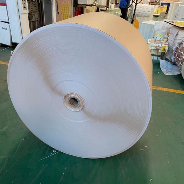 Papel de placa frente e verso matéria prima do copo de chá do papel de placa do marfim de 230 G/M