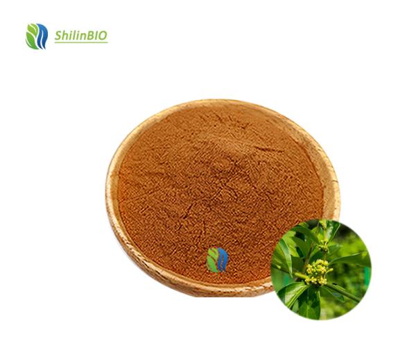 Factory Wholesale Gymnema Sylvestre Leaf Extract 25% 75% Gymnemic Acid Powder