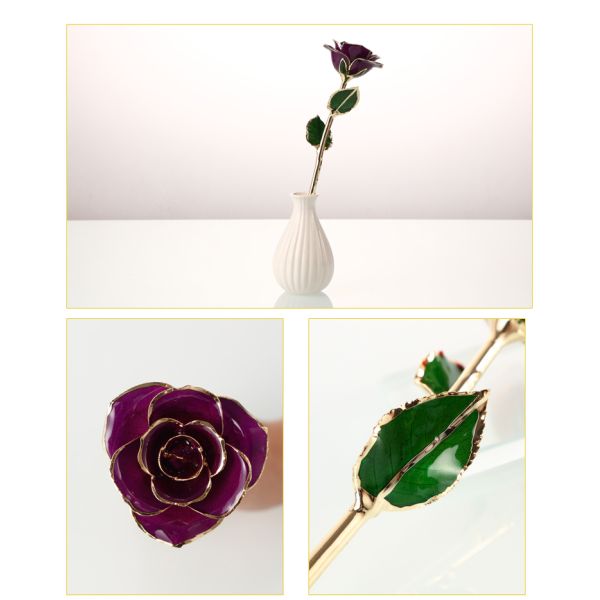 Wholesale High Quality 24K Gold Dipped Real Natural Rose  Artificial Roses for Valentines Day Gifts