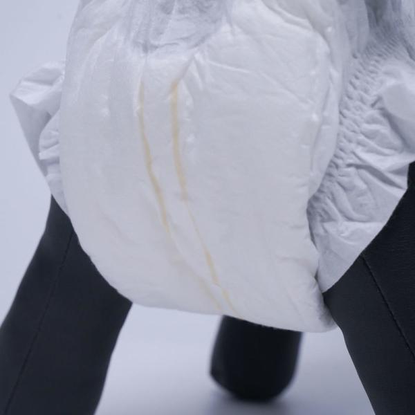 Одноразовые подгузники для домашних животных, кошек, щенков, цыплят, цыплят для собак, женские подгузники для мочи