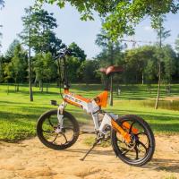 A suspensão completa Ebike das mulheres que dobra o BOCADO RICO elétrico Top-730 da bicicleta 48v 9.6Ah do Sus completo