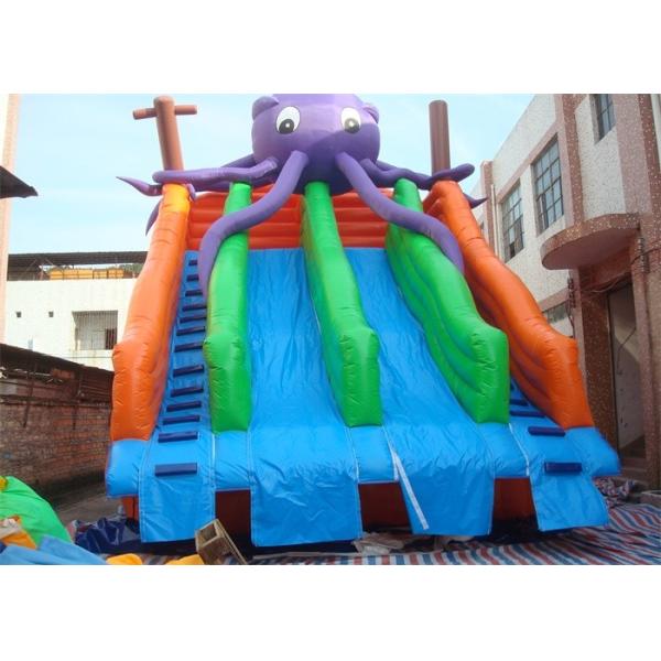 面白い商業膨脹可能なスライド、水公園のための膨脹可能なプールのスライド