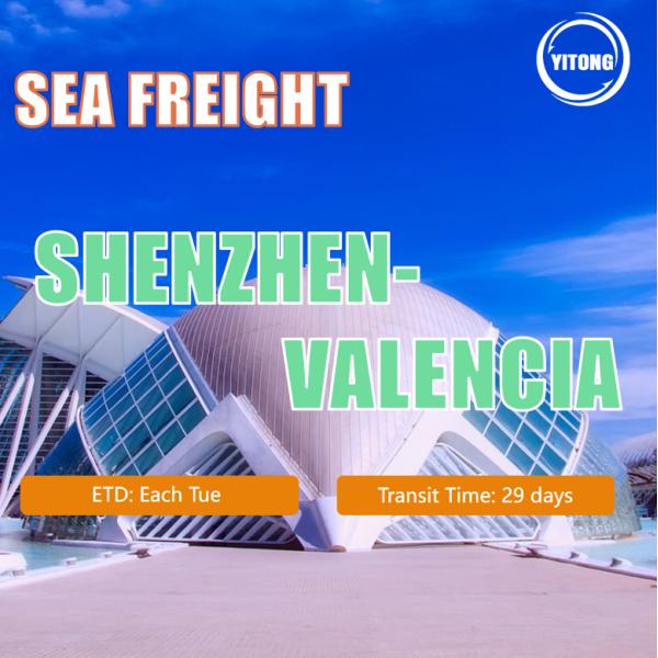 Shenzhen China To Valencia Spain International Sea Freight Services 29 Days