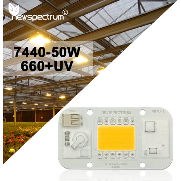25mm Horticulture COB DOB LED Plant Growth Lamp 660nm For Indoor Greenhouse