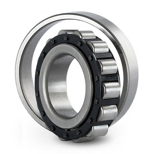 NJ NU 312 ECJ ECM ECP type Cylindrical Full Complement Roller Bearings Single Row