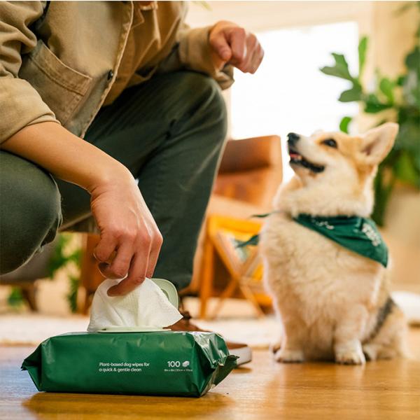 Agua pura libre de alcohol toallitas húmedas para mascotas biodegradables para perros toallitas de limpieza personalizables